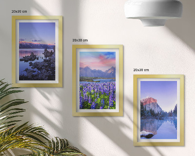 Galerie de perete Peisaje montane cu apă, cer și un câmp de flori