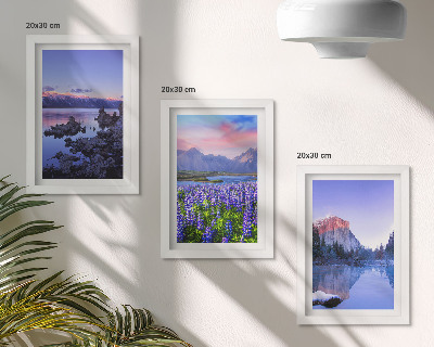 Galerie de perete Peisaje montane cu apă, cer și un câmp de flori