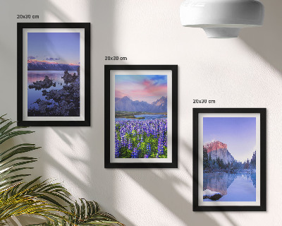 Galerie de perete Peisaje montane cu apă, cer și un câmp de flori