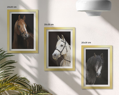 Galerie de perete Portrete de cai în diferite nuanțe de blană