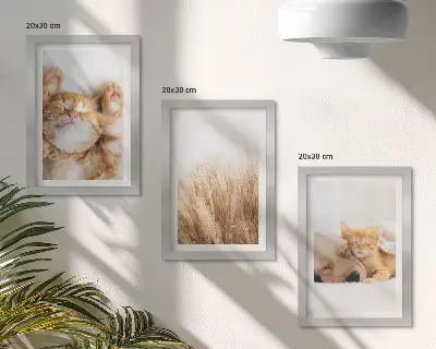 Galerie de perete cu animale drăguțe precum pisici și câini în stil boho printre ierburi delicate