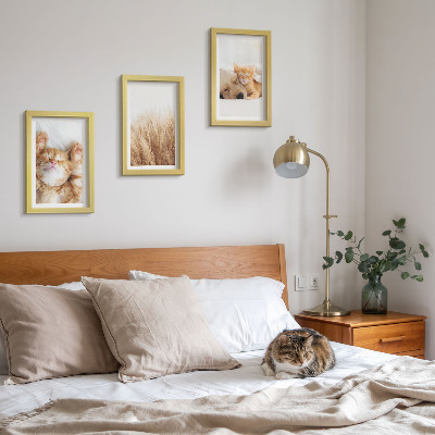 Galerie de perete Animale drăguțe pisici câini iarbă delicată boho
