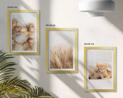 Galerie de perete cu animale drăguțe precum pisici și câini în stil boho printre ierburi delicate