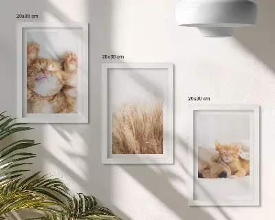 Galerie de perete cu animale drăguțe precum pisici și câini în stil boho printre ierburi delicate