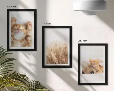 Galerie de perete cu animale drăguțe precum pisici și câini în stil boho printre ierburi delicate