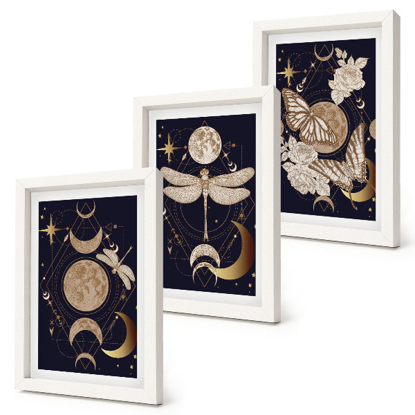 Set 3 tablouri Motive naturale cu luna, spațiul și florile