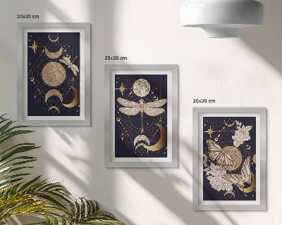 Set 3 tablouri Motive naturale cu luna, spațiul și florile