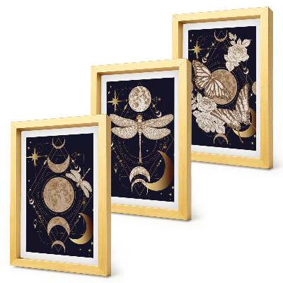 Set 3 tablouri Motive naturale cu luna, spațiul și florile