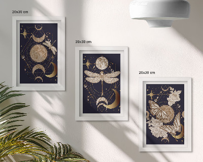 Set 3 tablouri Motive naturale cu luna, spațiul și florile