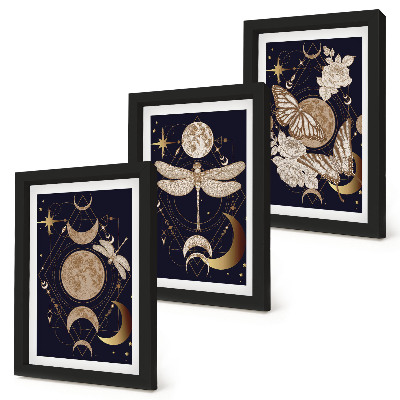 Set 3 tablouri Motive naturale cu luna, spațiul și florile