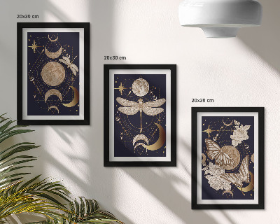 Set 3 tablouri Motive naturale cu luna, spațiul și florile