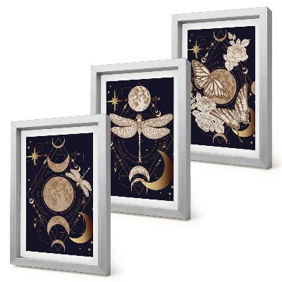 Set 3 tablouri Motive naturale cu luna, spațiul și florile