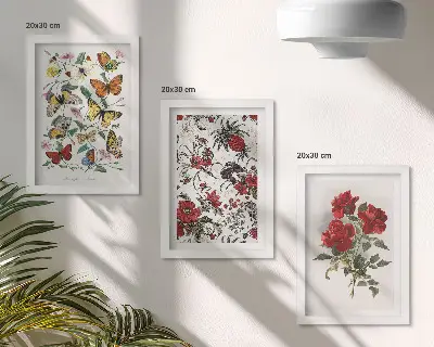 Galerie de perete cu fluturi, flori și trandafiri roșii în stil clasic