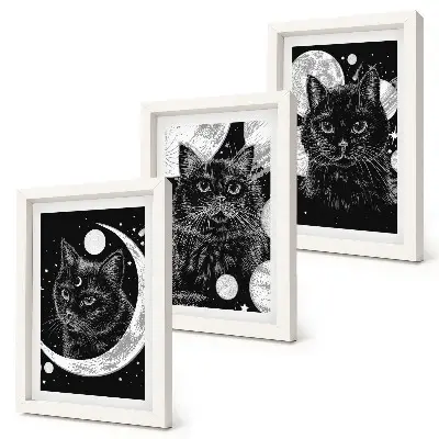 Set 3 tablouri cu pisici negre pe fundalul lunii și al planetelor din spațiu