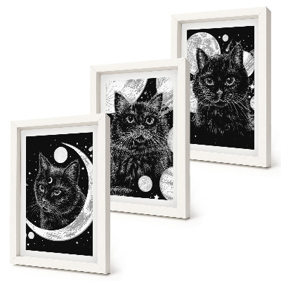 Set 3 tablouri Pisici negre pe fundalul lunii și al planetelor din spațiu