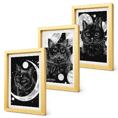 Set 3 tablouri cu pisici negre pe fundalul lunii și al planetelor din spațiu