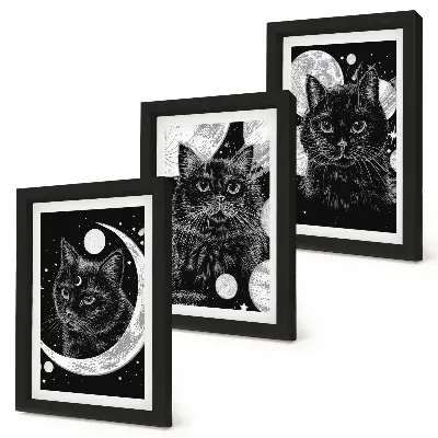 Set 3 tablouri cu pisici negre pe fundalul lunii și al planetelor din spațiu