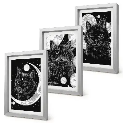 Set 3 tablouri cu pisici negre pe fundalul lunii și al planetelor din spațiu