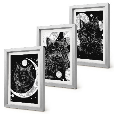 Set 3 tablouri Pisici negre pe fundalul lunii și al planetelor din spațiu