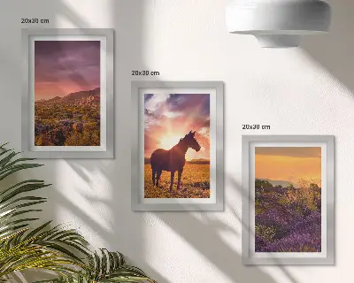 Galerie de perete cu peisaje montane, cai și câmpuri de lavandă