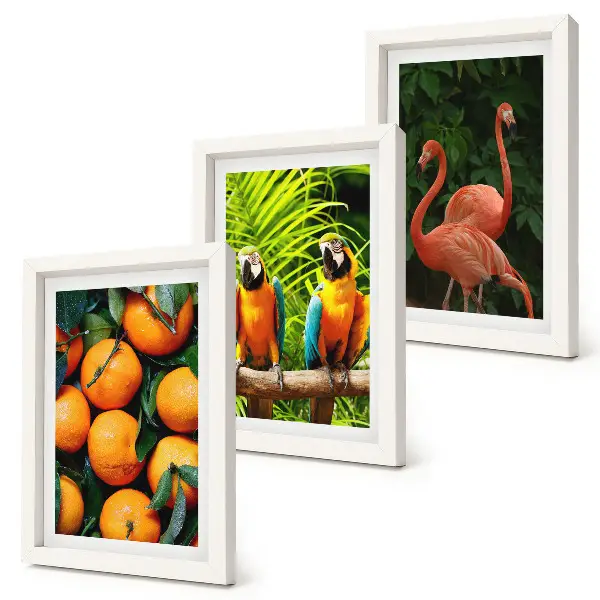 Galerie de perete cu accente fructate, papagali și flamingo în decor tropical