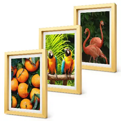 Galerie de perete cu accente fructate, papagali și flamingo în decor tropical