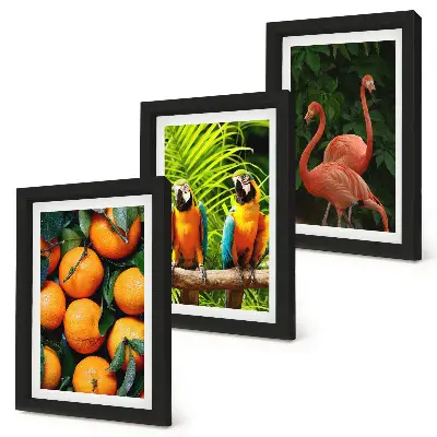 Galerie de perete cu accente fructate, papagali și flamingo în decor tropical