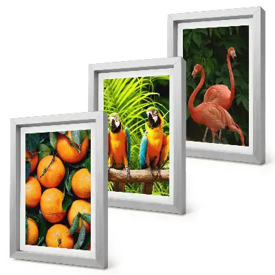 Galerie de perete cu accente fructate, papagali și flamingo în decor tropical