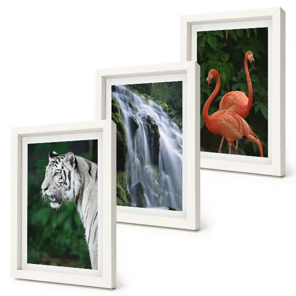 Set de 3 tablouri Cascada Tiger și flamingi roz în natură set de 3 tablouri cu peisaj de cascadă și flamingi roz