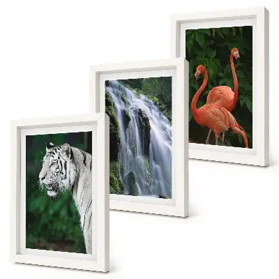 Set de 3 tablouri Cascada Tiger și flamingi roz în natură set de 3 tablouri cu peisaj de cascadă și flamingi roz