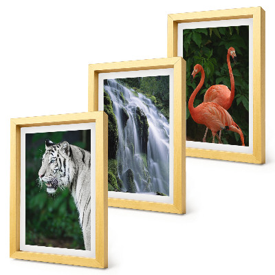Set 3 tablouri Cascada Tiger și flamingi roz în natură