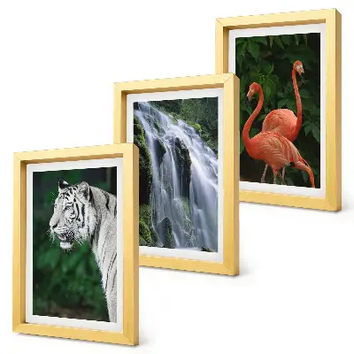 Set de 3 tablouri Cascada Tiger și flamingi roz în natură set de 3 tablouri cu peisaj de cascadă și flamingi roz