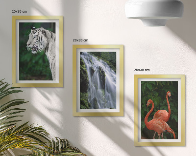 Set 3 tablouri Cascada Tiger și flamingi roz în natură