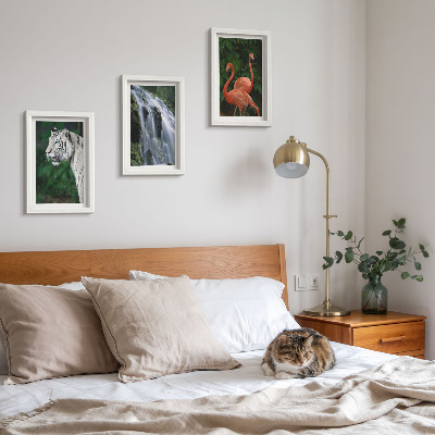Set 3 tablouri Cascada Tiger și flamingi roz în natură