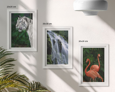 Set 3 tablouri Cascada Tiger și flamingi roz în natură