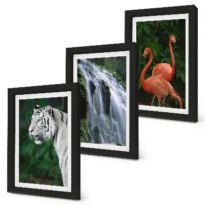 Set de 3 tablouri Cascada Tiger și flamingi roz în natură set de 3 tablouri cu peisaj de cascadă și flamingi roz
