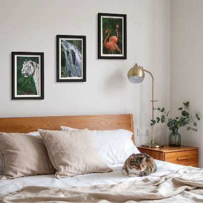 Set 3 tablouri Cascada Tiger și flamingi roz în natură
