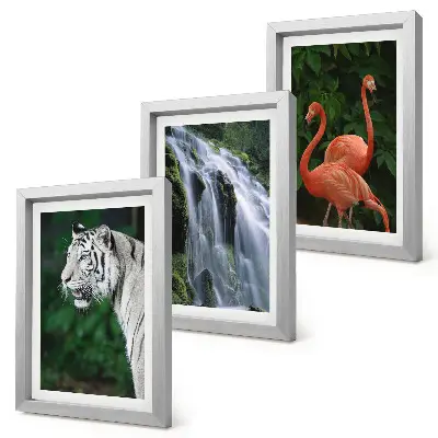 Set de 3 tablouri Cascada Tiger și flamingi roz în natură set de 3 tablouri cu peisaj de cascadă și flamingi roz