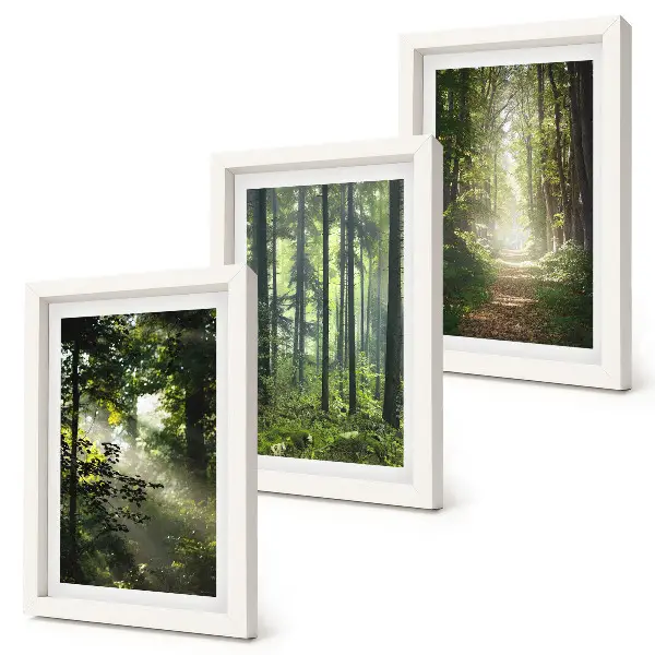 Set 3 tablouri cu peisaj de pădure verde, raze de lumină și potecă