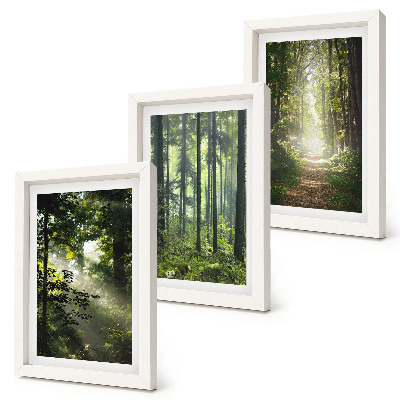 Set 3 tablouri Păduri verzi cu raze de lumină și o potecă de pădure
