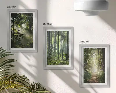 Set 3 tablouri cu peisaj de pădure verde, raze de lumină și potecă