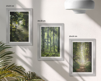 Set 3 tablouri Păduri verzi cu raze de lumină și o potecă de pădure