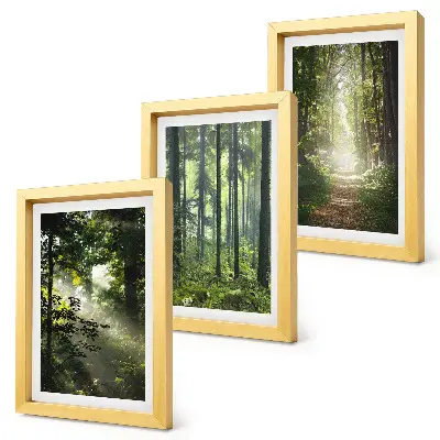 Set 3 tablouri cu peisaj de pădure verde, raze de lumină și potecă