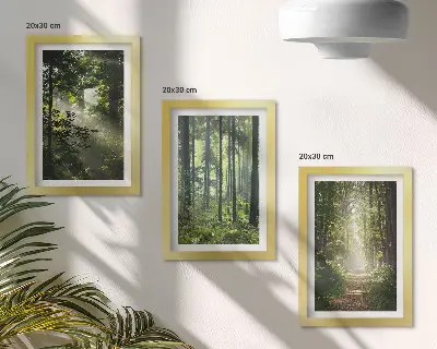 Set 3 tablouri cu peisaj de pădure verde, raze de lumină și potecă