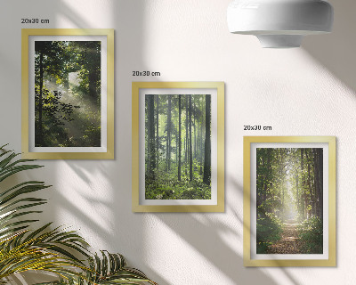 Set 3 tablouri Păduri verzi cu raze de lumină și o potecă de pădure