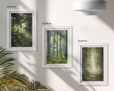 Set 3 tablouri cu peisaj de pădure verde, raze de lumină și potecă