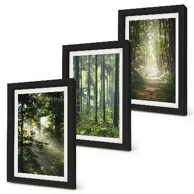 Set 3 tablouri cu peisaj de pădure verde, raze de lumină și potecă