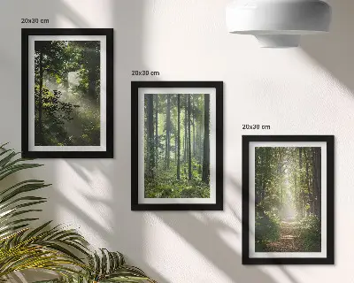 Set 3 tablouri cu peisaj de pădure verde, raze de lumină și potecă