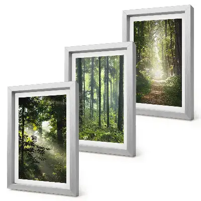 Set 3 tablouri cu peisaj de pădure verde, raze de lumină și potecă
