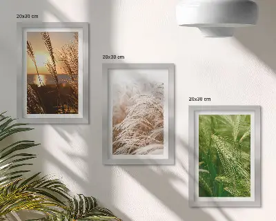 Galerie de perete cu diferite tipuri de iarbă în nuanțe colorate